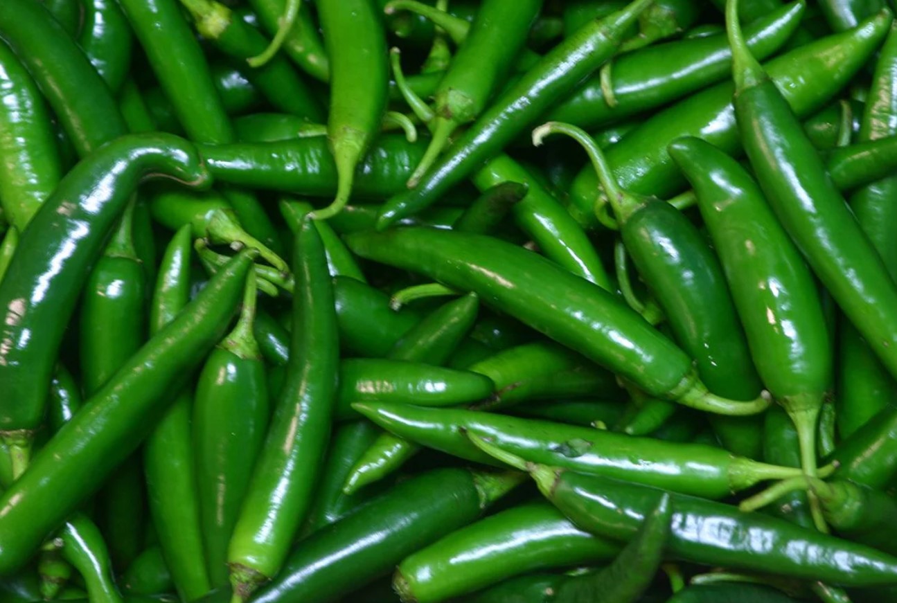 Green Chilli