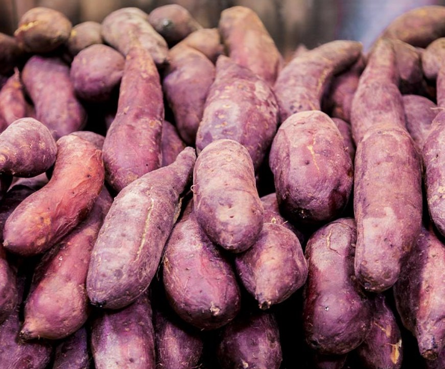 Sweet Potato