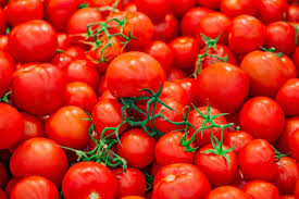 Tomato